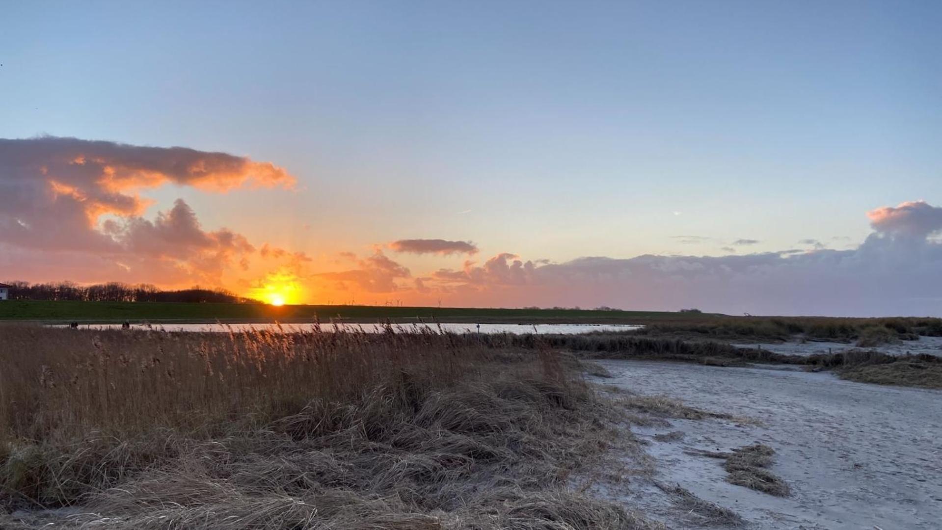 Ferien Im Wangerland - Haus Wiesenweg - Apartment 2 1Og Horumersiel Dış mekan fotoğraf