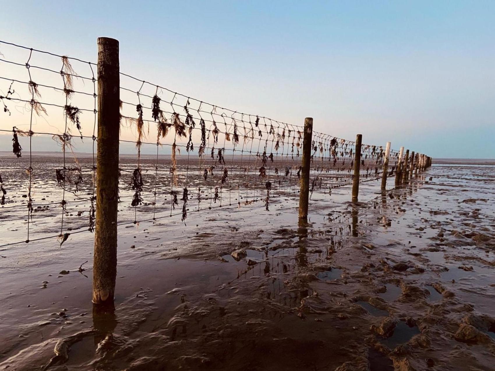 Ferien Im Wangerland - Haus Wiesenweg - Apartment 2 1Og Horumersiel Dış mekan fotoğraf